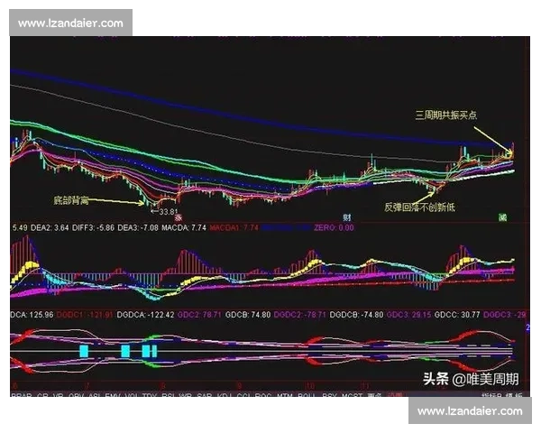 13对24的对比分析:探索两者之间的差异与发展潜力 13对24的对比分析:探索两者之间的差异与发展潜力